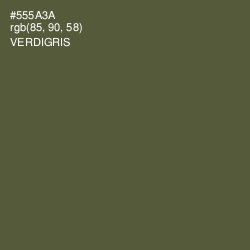 #555A3A - Verdigris Color Image