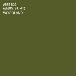 #555B29 - Woodland Color Image
