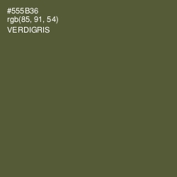 #555B36 - Verdigris Color Image