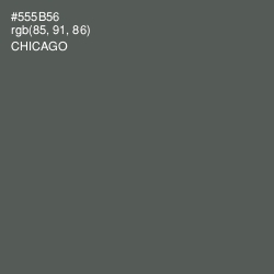 #555B56 - Chicago Color Image