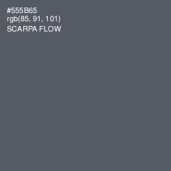 #555B65 - Scarpa Flow Color Image