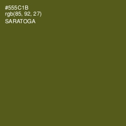 #555C1B - Saratoga Color Image