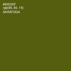 #555D0F - Saratoga Color Image