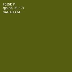 #555D11 - Saratoga Color Image