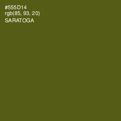 #555D14 - Saratoga Color Image