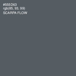 #555D63 - Scarpa Flow Color Image