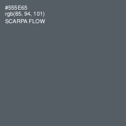 #555E65 - Scarpa Flow Color Image