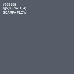#555E68 - Scarpa Flow Color Image