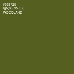 #555F20 - Woodland Color Image