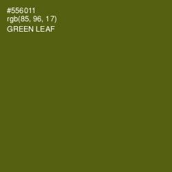 #556011 - Green Leaf Color Image
