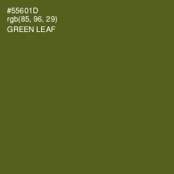 #55601D - Green Leaf Color Image