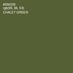 #556035 - Chalet Green Color Image