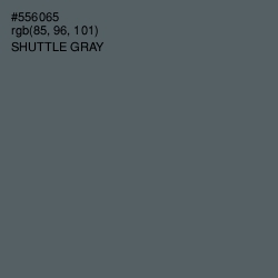 #556065 - Shuttle Gray Color Image