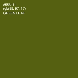 #556111 - Green Leaf Color Image