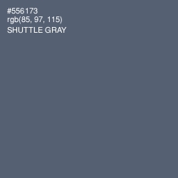 #556173 - Shuttle Gray Color Image