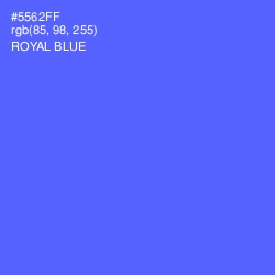 #5562FF - Royal Blue Color Image