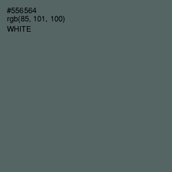 #556564 - Shuttle Gray Color Image