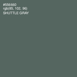 #556660 - Shuttle Gray Color Image
