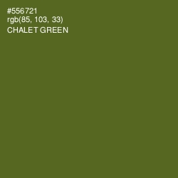 #556721 - Chalet Green Color Image