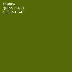#556907 - Green Leaf Color Image