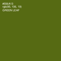 #556A13 - Green Leaf Color Image