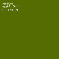 #556C02 - Green Leaf Color Image