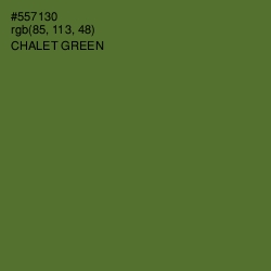 #557130 - Chalet Green Color Image