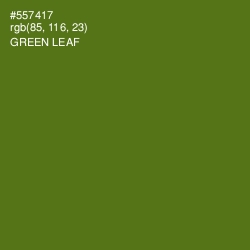 #557417 - Green Leaf Color Image