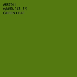 #557911 - Green Leaf Color Image