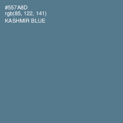 #557A8D - Kashmir Blue Color Image