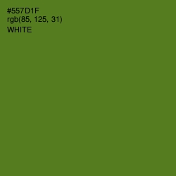 #557D1F - Green Leaf Color Image