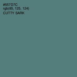 #557D7C - Cutty Sark Color Image