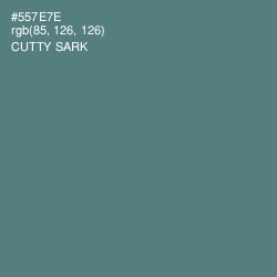 #557E7E - Cutty Sark Color Image