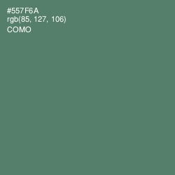 #557F6A - Como Color Image