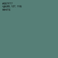 #557F77 - Cutty Sark Color Image