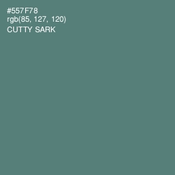 #557F78 - Cutty Sark Color Image