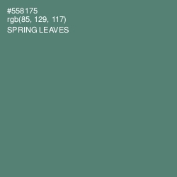 #558175 - Spring Leaves Color Image