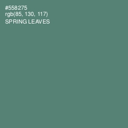 #558275 - Spring Leaves Color Image