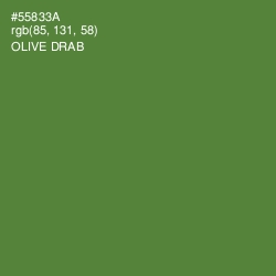 #55833A - Olive Drab Color Image