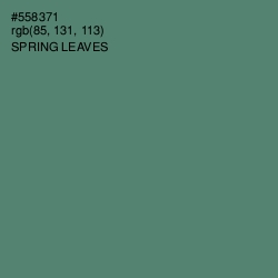 #558371 - Spring Leaves Color Image