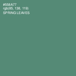 #558A77 - Spring Leaves Color Image