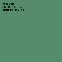 #558D6B - Spring Leaves Color Image