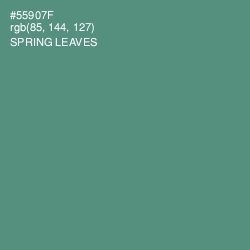 #55907F - Spring Leaves Color Image