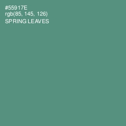 #55917E - Spring Leaves Color Image