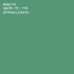 #559776 - Spring Leaves Color Image
