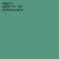 #55977E - Spring Leaves Color Image