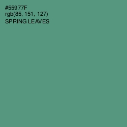 #55977F - Spring Leaves Color Image