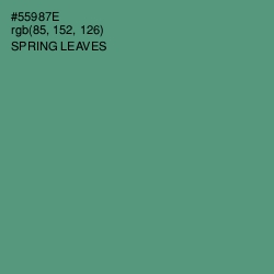 #55987E - Spring Leaves Color Image