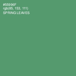 #55996F - Spring Leaves Color Image