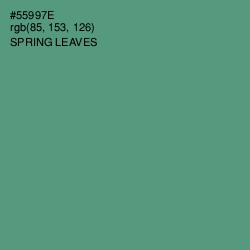 #55997E - Spring Leaves Color Image